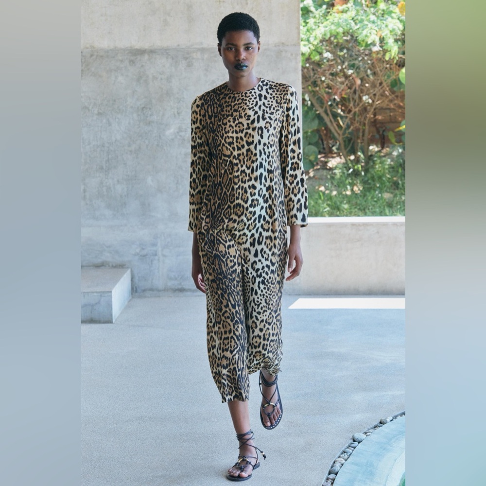 Zara Leopard Print Dress